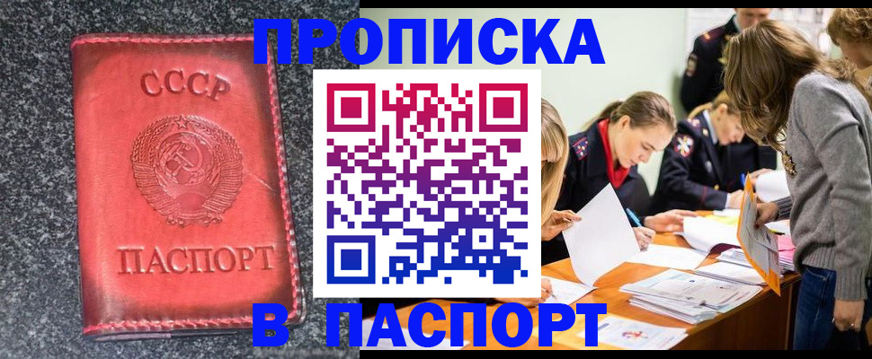 прописка для школы в Сердобске